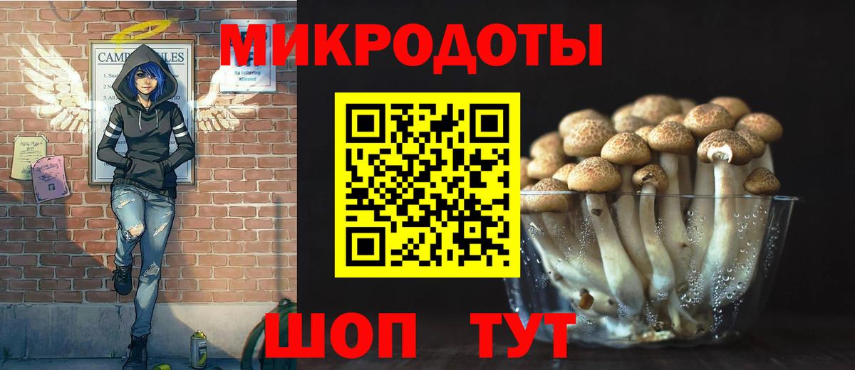 Псилоцибиновые грибы прущие грибы  Вход с VPN  сколько стоит  Тула  Псилоцибиновые грибы мухоморы 